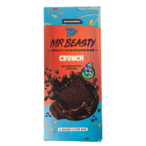 Mr. Beasty Crunch 4G Mushroom Chocolate Bars - Mr. Mushies